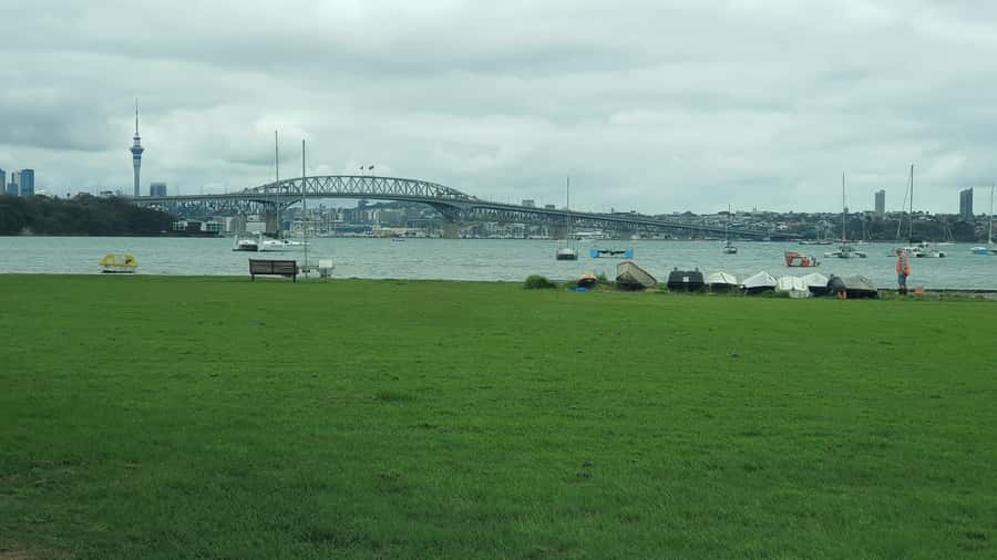 Auckland: Auckland City Tour 4 hours private - Pickup in Auckland CBD: The Convenience That Sets the Tone