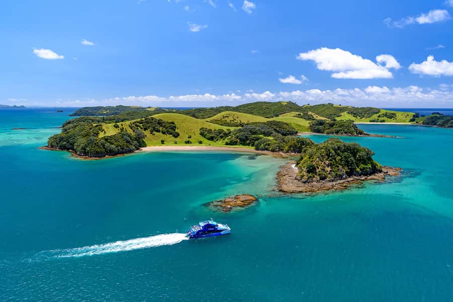 Auckland: Bay of Islands Day Tour with Dolphin Cruise - Key Points Worth Knowing Before You Go