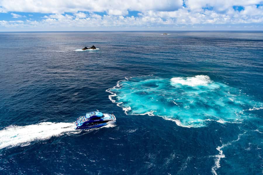 Auckland: Bay of Islands Day Tour with Dolphin Cruise - Practical Tips That Make the Day Easier