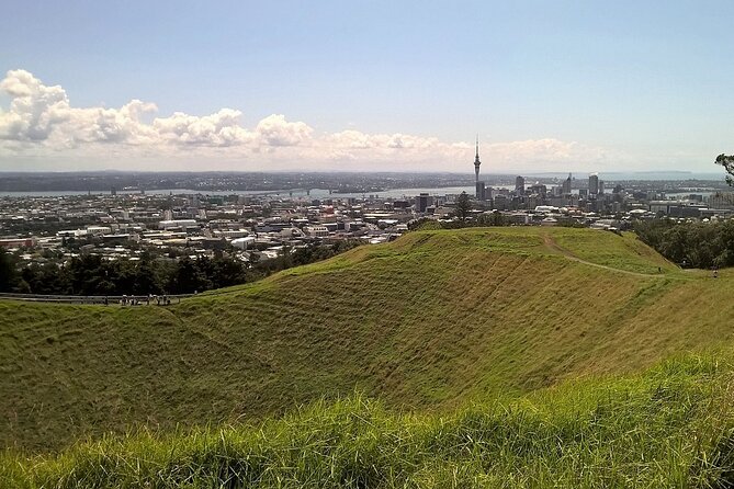 Auckland Best Top 5 Spots Half day Tour - Key highlights worth knowing before you go