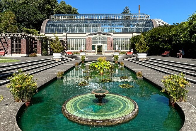 Auckland Best Top 5 Spots Half day Tour - What you should pack and how to time your expectations