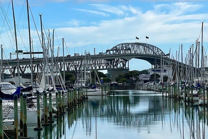 Auckland Best Top 5 Spots Half day Tour - Who this tour fits best (and who might want something else)