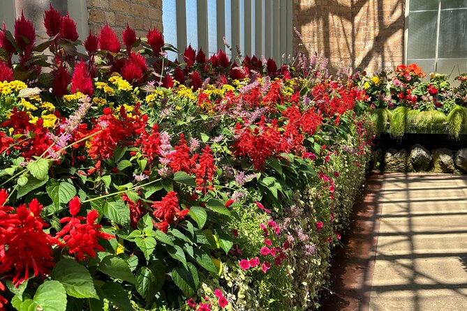 Auckland Best Top 5 Spots Half day Tour - Should you book this Auckland highlights half-day tour?