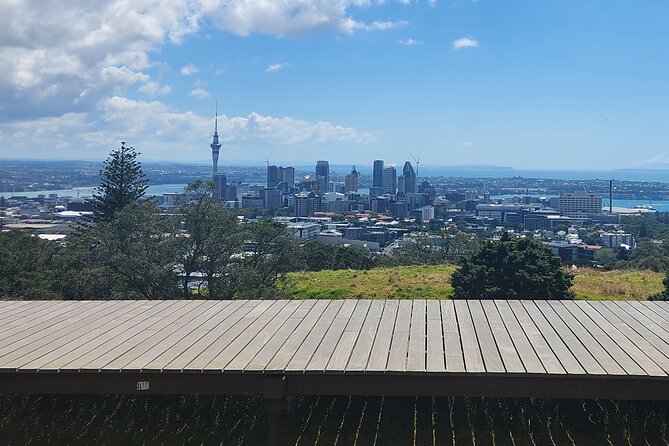 Auckland Best Top 5 Spots Half day Tour - Price and practicalities: what $117.91 buys you (and what it doesn’t)
