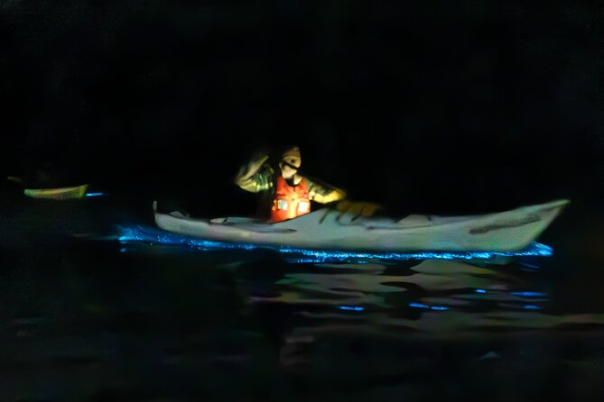Auckland Bioluminescence Kayak Tour - Sea Sparkle On Auckland’s Waterline