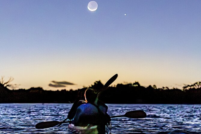 Auckland Bioluminescence Kayak Tour - Your 2-Hour Night Route: What Happens Once You’re on the Water