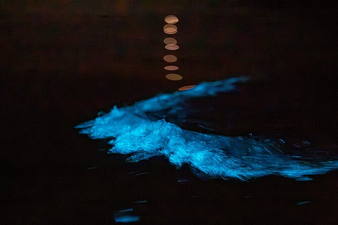 Auckland Bioluminescence Kayak Tour - Weather, Stars, and Photo Moments You Can Actually Plan For