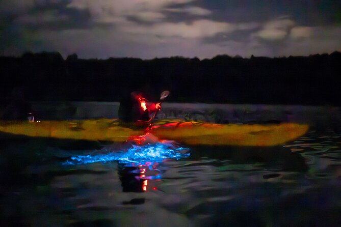 Auckland Bioluminescence Kayak Tour - Should You Book This Auckland Bioluminescence Kayak Tour?