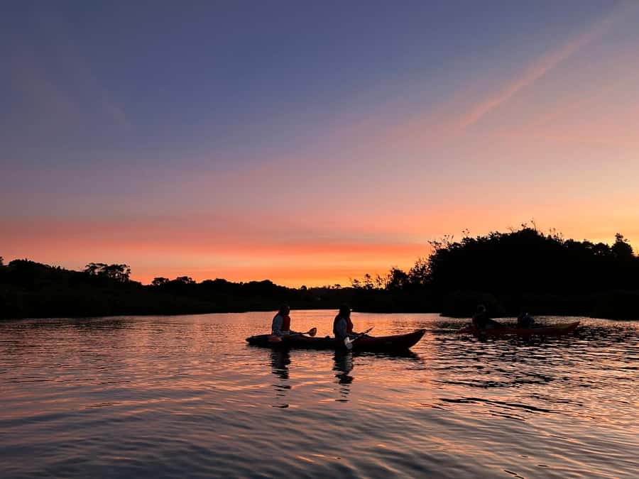 Auckland: Bioluminescence Kayak Tour with Guide - Key things to know before you paddle