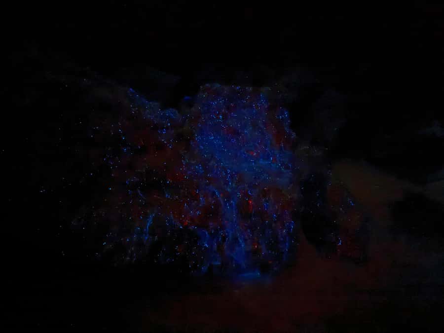 Auckland: Bioluminescence Kayak Tour with Guide - Gear-up and what the first part of the paddle feels like