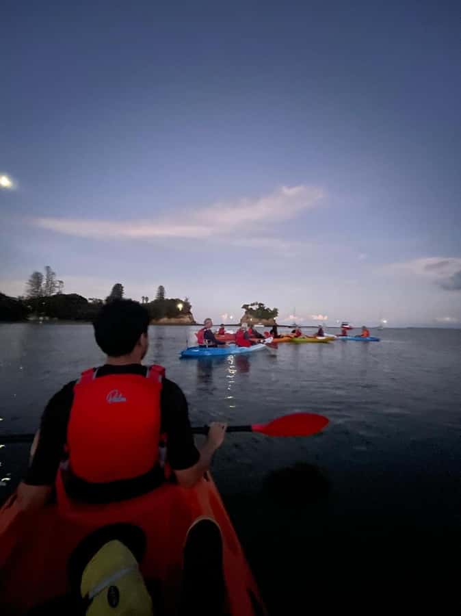 Auckland: Bioluminescence Kayak Tour with Guide - The bioluminescence moment: how to spot it and what your guide will help with