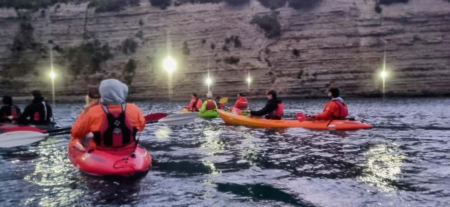 Auckland: Bioluminescence Kayak Tour with Guide - When conditions aren’t perfect: the refund or repeat-tour safety net