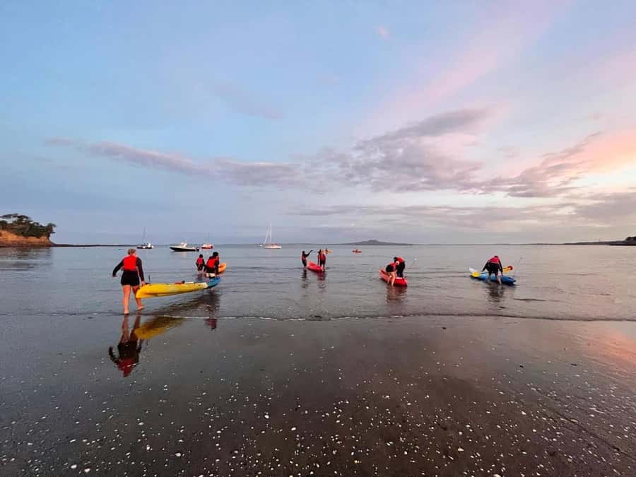 Auckland: Bioluminescence Kayak Tour with Guide - Price and value: is $71 for 2 hours fair?