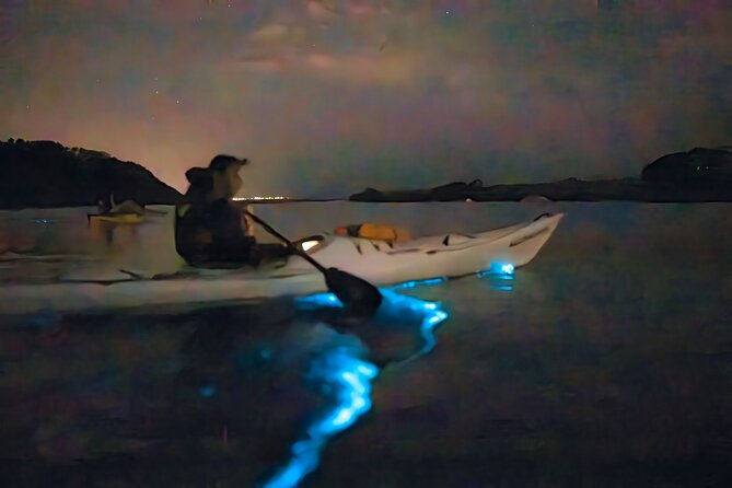 Auckland Bioluminescence Kayak Tour - Safety First, Kayak Rental Included (So You Can Focus on the Show)