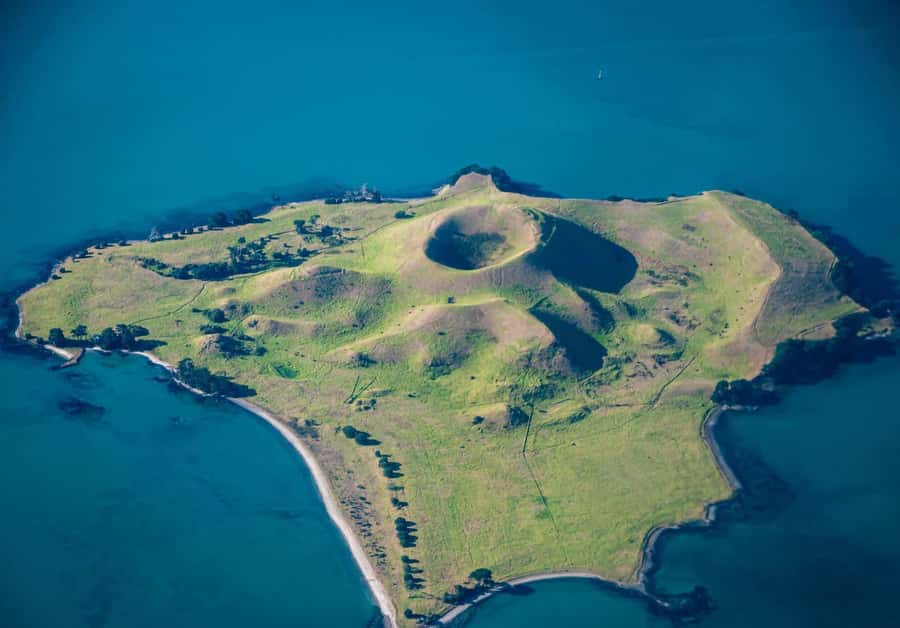 Auckland: Browns Island (Motukorea) Sea Kayak Tour - Key highlights worth marking on your map