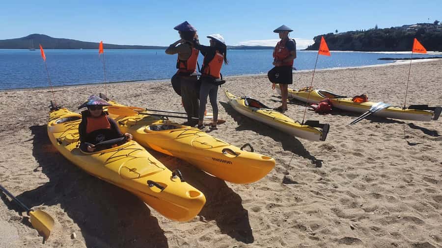 Auckland: Browns Island (Motukorea) Sea Kayak Tour - Should you book the Browns Island (Motukorea) sea kayak tour?