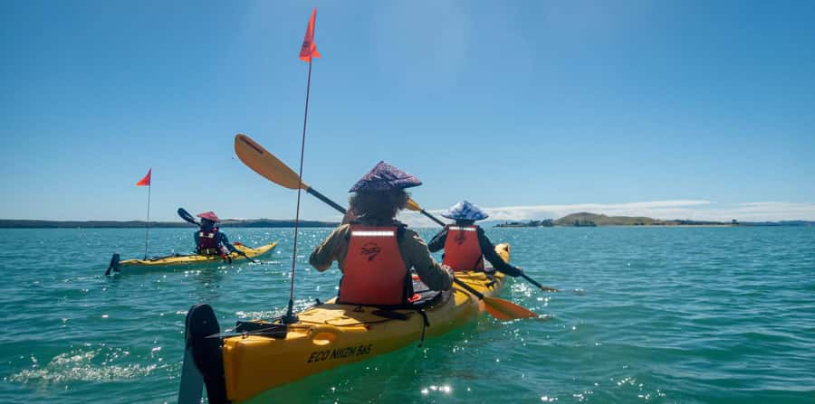 Auckland: Browns Island (Motukorea) Sea Kayak Tour - Meeting at St Heliers and getting ready for open water