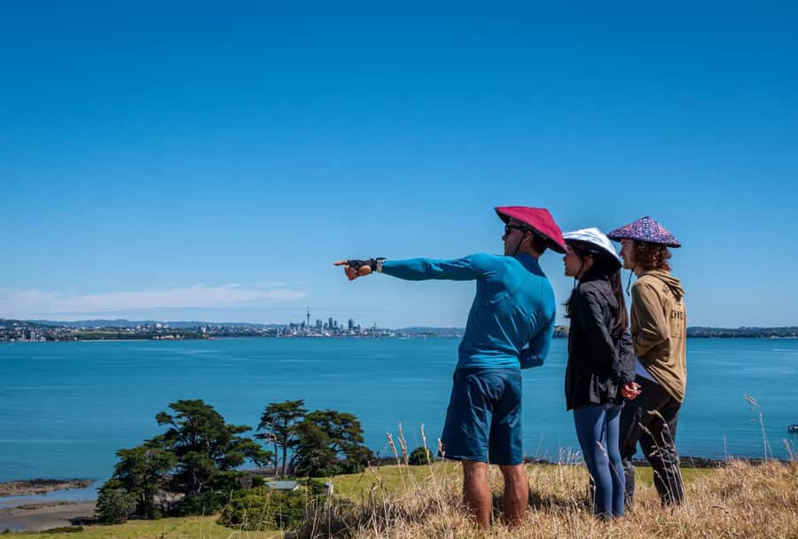 Auckland: Browns Island (Motukorea) Sea Kayak Tour - Wildlife and birds: the part you should watch closely