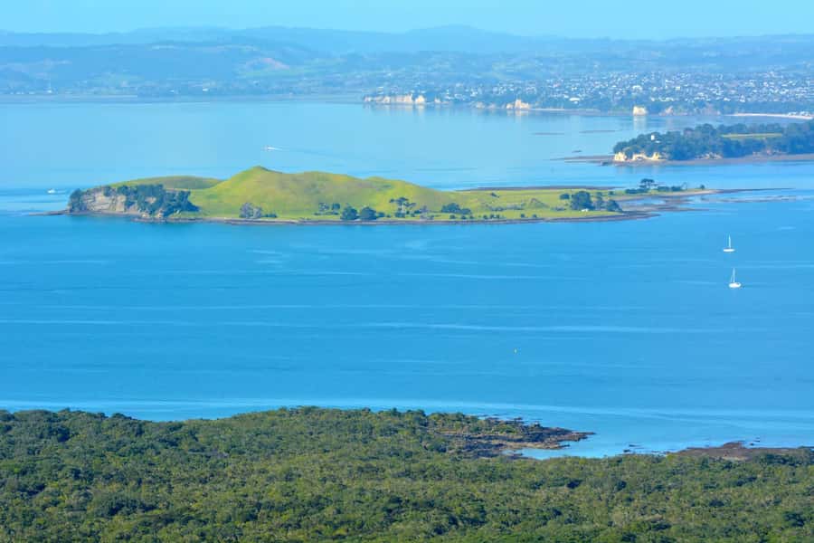 Auckland: Browns Island (Motukorea) Sea Kayak Tour - Price and value: why $89 can make sense here