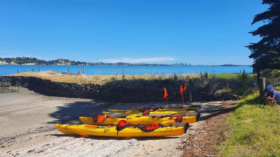 Auckland: Browns Island (Motukorea) Sea Kayak Tour - What to bring (and what will ruin the day)