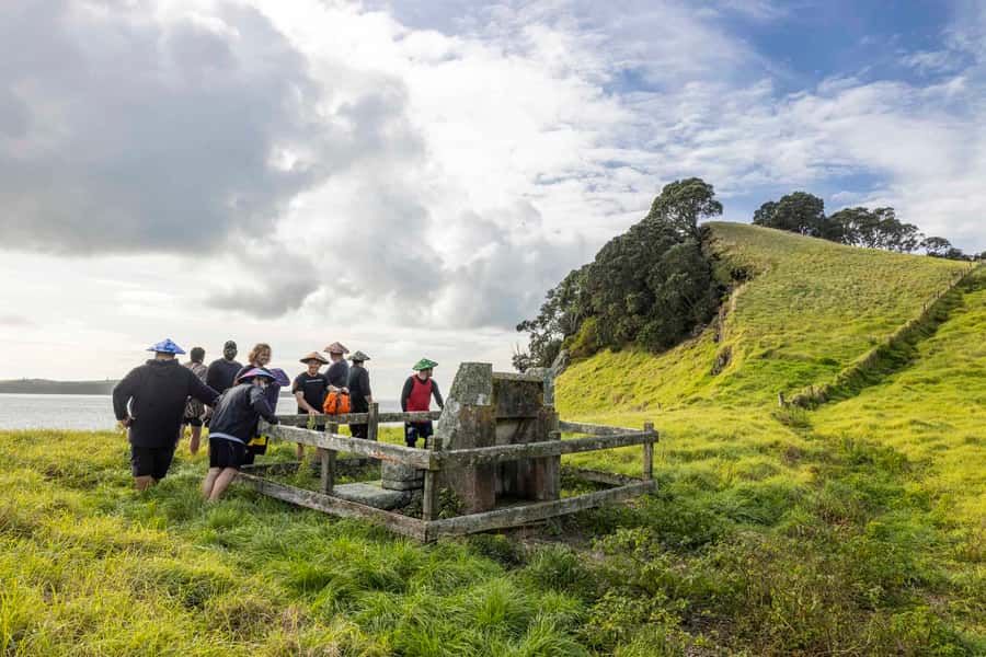 Auckland: Browns Island (Motukorea) Sea Kayak Tour - Who this tour suits best