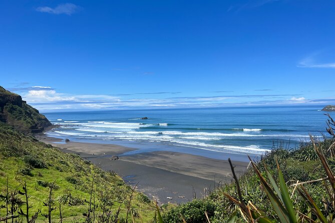 Auckland City and West Coast Black Sand Beach Full Day Tour - Key highlights to expect