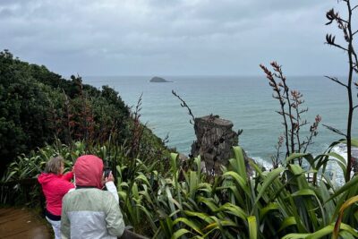 Auckland City and West Coast Black Sand Beach Full Day Tour - Tamaki Drive and Achilles Point: coastal viewpoints without the driving grind