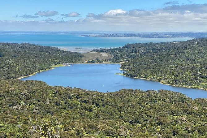 Auckland City and West Coast Black Sand Beach Full Day Tour - What you’re really paying for: private routing, comfort, and included snacks