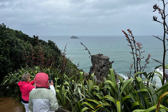 Auckland City and West Coast Black Sand Beach Full Day Tour - Tamaki Drive and Achilles Point: coastal viewpoints without the driving grind