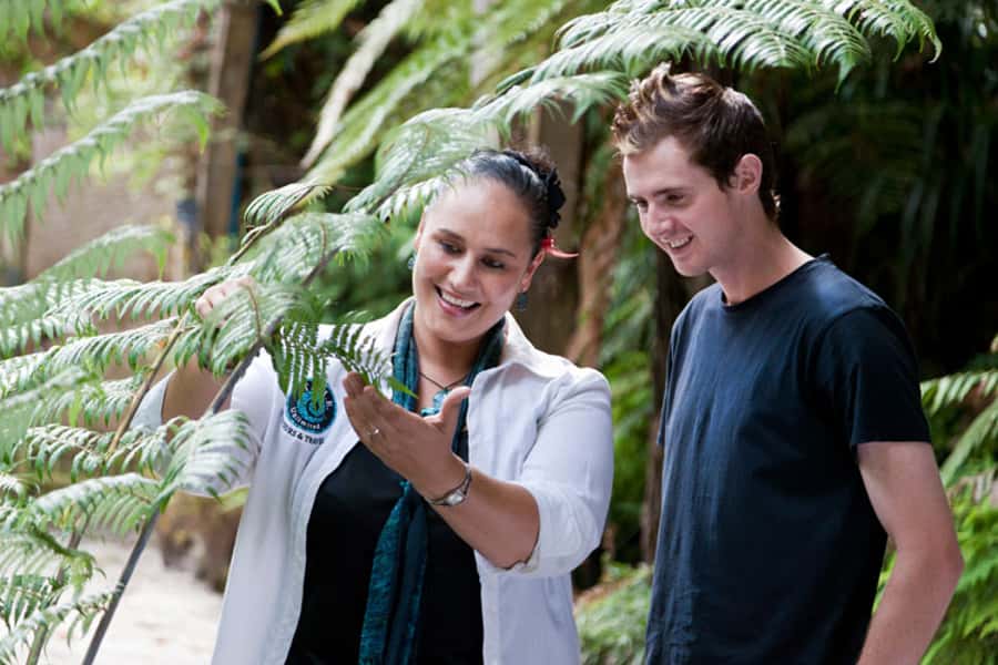 Auckland City and West Coast Luxury Tour - Rangitoto Island and the harbour perspective you’ll remember