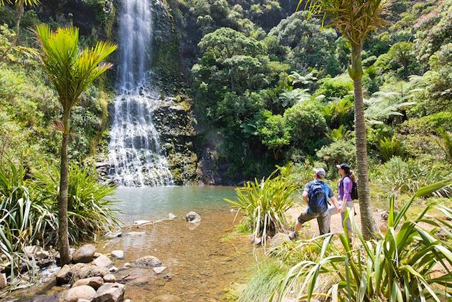 Auckland City and West Coast Luxury Tour - Black-sand coast, roaring surf, and the West Coast’s dramatic edges
