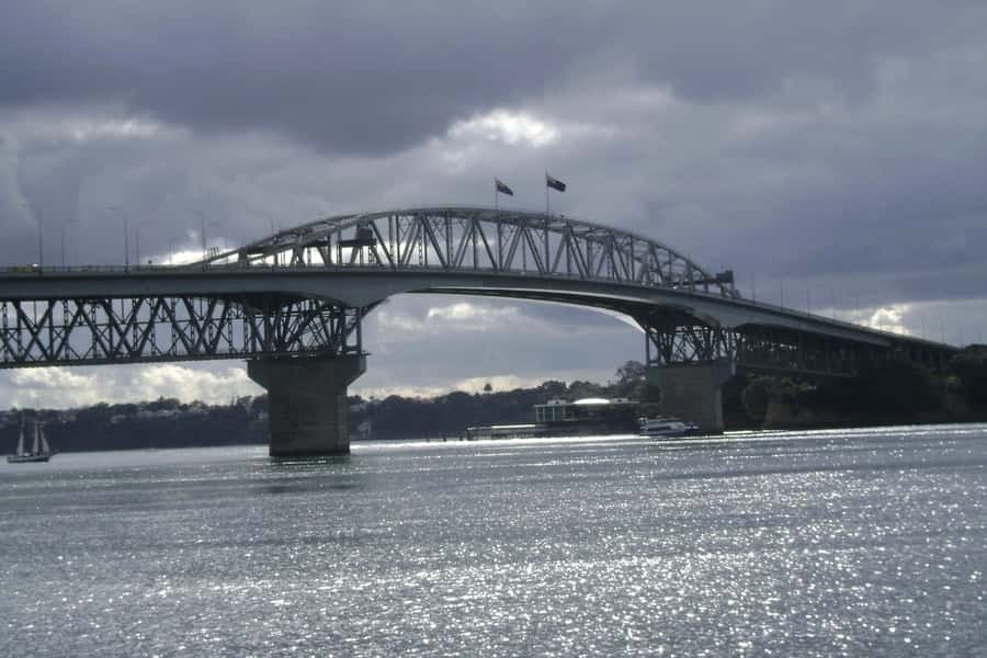 Auckland City, Beaches & Rainforest Premium Small Group Tour - Key Highlights Worth Your Time