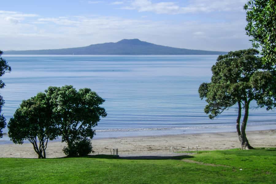 Auckland City, Beaches & Rainforest Premium Small Group Tour - North Shore and Mt Victoria: The Viewpoint Stretch You’ll Remember