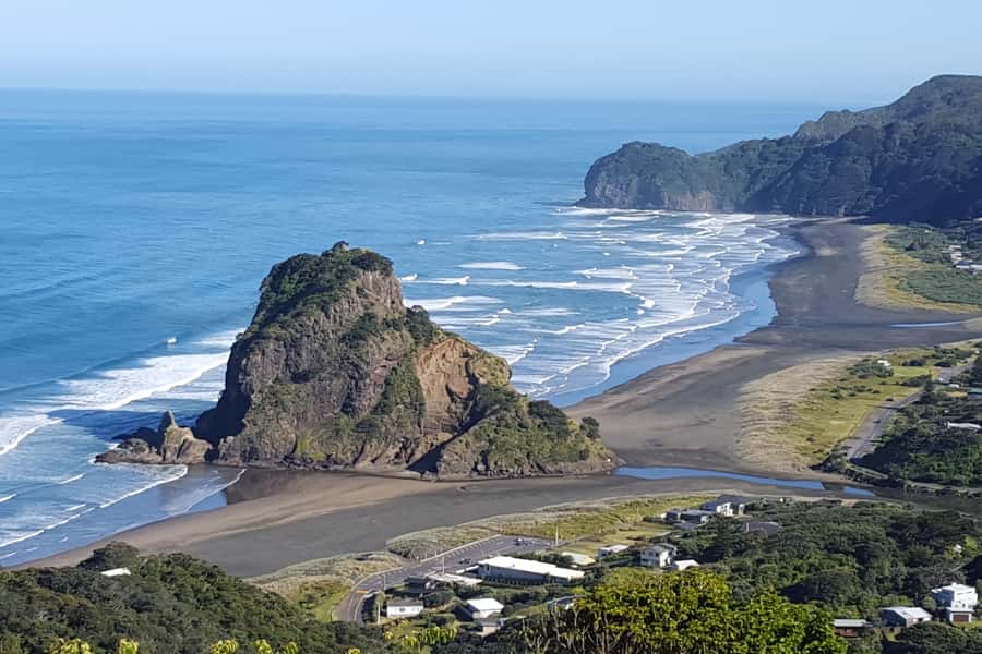 Auckland City, Beaches & Rainforest Premium Small Group Tour - Piha Beach Black Sand: Walking the West Coast’s Drama