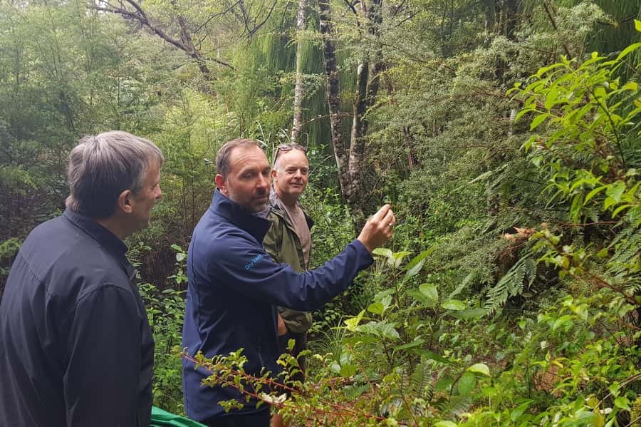 Auckland City, Beaches & Rainforest Premium Small Group Tour - Price and Logistics: What You’re Paying For