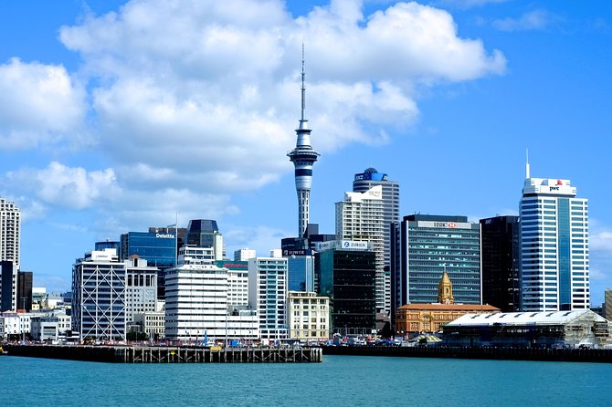 Auckland City Discovery Experience - Private Tour From Auckland - Morning Setup: Pickup, Comfort, and Hitting Auckland by 8:00