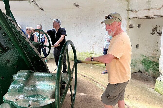 Auckland City Half Day Top Sightseeing Tour(Small Group Tour) - Auckland in 3 to 4 hours: what this half-day tour really buys you