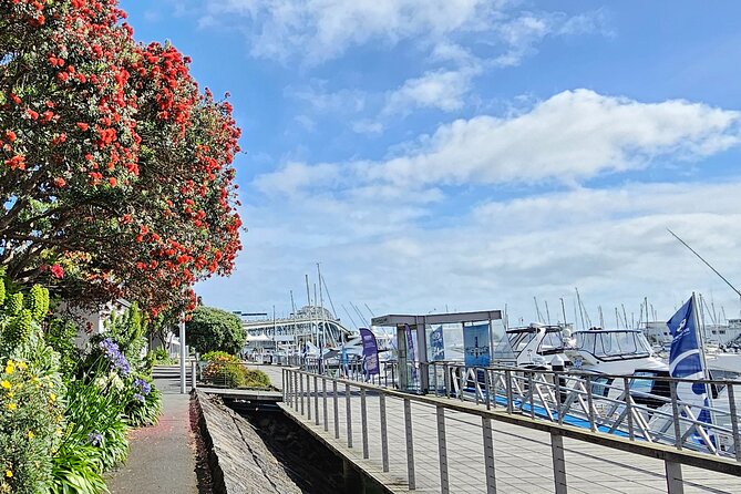 Auckland City Halfday Guide Tour - Getting around: pickup, air-conditioning, and mobile tickets