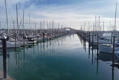 Auckland City Halfday Guide Tour - Westhaven Marina: boats, skyline angles, and easy “wow” photos