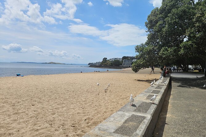 Auckland City Halfday Guide Tour - Mission Bay: soft sand, wide lawns, and a real coastal break