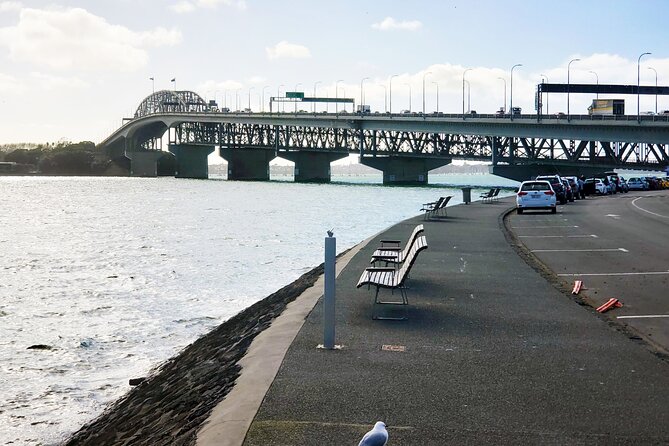 Auckland City Halfday Private Tour - First Impressions: A half-day route that mixes harbour, volcano, and coast