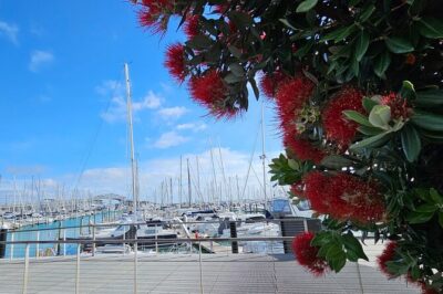 Auckland City Halfday Private Tour - Harbour Bridge to Westhaven Marina: Skyline drama in under an hour
