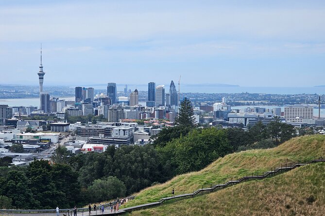 Auckland City Halfday Private Tour - Tips for the best experience: photos, weather, and where to sit