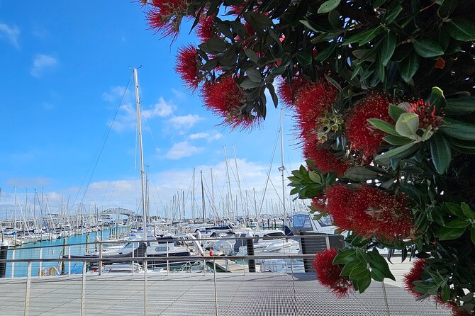 Auckland City Halfday Private Tour - Harbour Bridge to Westhaven Marina: Skyline drama in under an hour