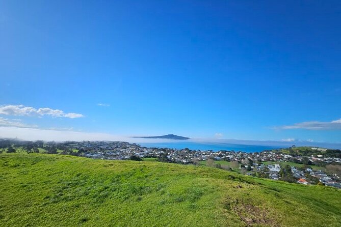 Auckland City Halfday Tour - Sky Tower: New Zealand’s tall view in one smart hour