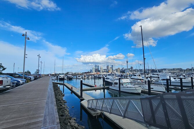 Auckland City Halfday Tour - The guide factor: why Kay Lee’s approach gets called out