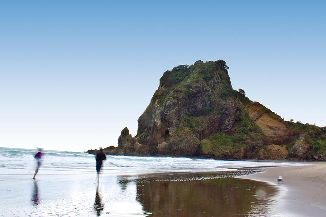 Auckland City Highlights, Afternoon Piha Beach & Rainforest Tour - Setting Out From SkyCity: how the day flows and why it works