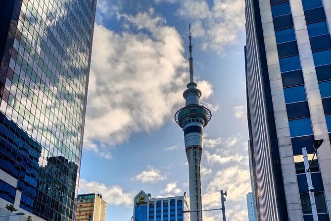Auckland City Highlights Full Day Tour - Mount Eden walk (and how to pace yourself)