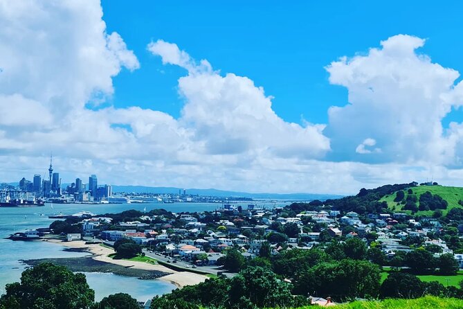Auckland City Highlights Full Day Tour - Price and value: why $179 can make sense (or not)