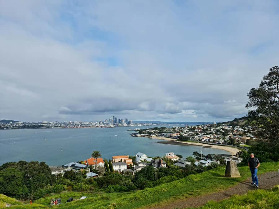 Auckland City Highlights Half Day Tour - Mount Eden for a full hour: why this stop takes more time